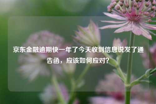 京东金融逾期快一年了今天收到信息说发了通告函，应该如何应对？