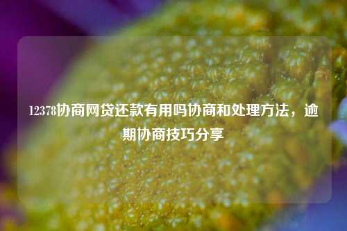 12378协商网贷还款有用吗协商和处理方法，逾期协商技巧分享