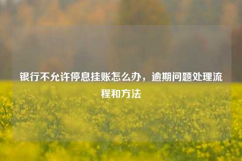 银行不允许停息挂账怎么办，逾期问题处理流程和方法