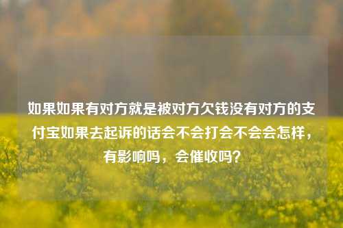 如果如果有对方就是被对方欠钱没有对方的支付宝如果去起诉的话会不会打会不会会怎样，有影响吗，会催收吗？