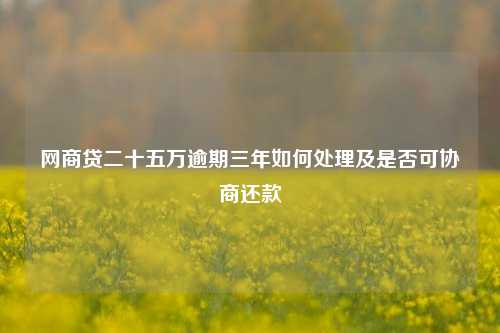 网商贷二十五万逾期三年如何处理及是否可协商还款