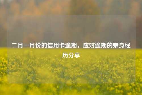 二月一月份的信用卡逾期，应对逾期的亲身经历分享