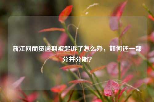 浙江网商贷逾期被起诉了怎么办，如何还一部分并分期？