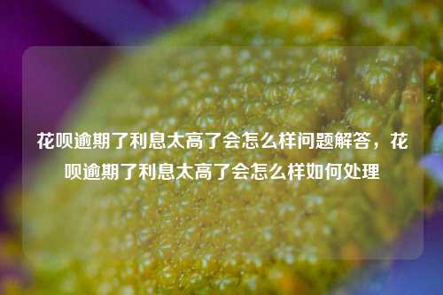 花呗逾期了利息太高了会怎么样问题解答，花呗逾期了利息太高了会怎么样如何处理