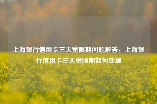 上海银行信用卡三天宽限期问题解答，上海银行信用卡三天宽限期如何处理