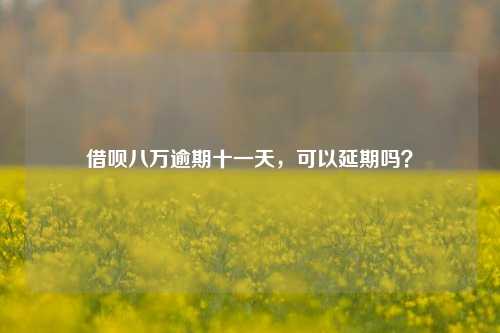 借呗八万逾期十一天，可以延期吗？