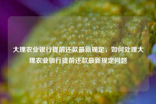 大理农业银行提前还款最新规定，如何处理大理农业银行提前还款最新规定问题