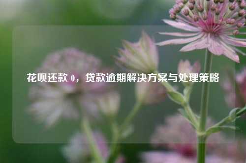 花呗还款 0，贷款逾期解决方案与处理策略