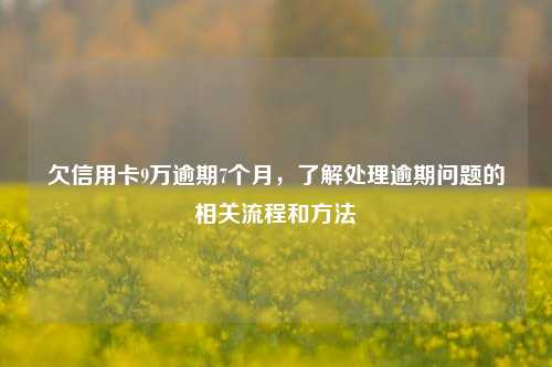 欠信用卡9万逾期7个月，了解处理逾期问题的相关流程和方法