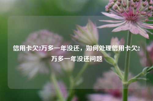 信用卡欠2万多一年没还，如何处理信用卡欠2万多一年没还问题