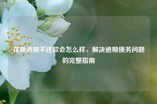 花呗逾期不还款会怎么样，解决逾期债务问题的完整指南