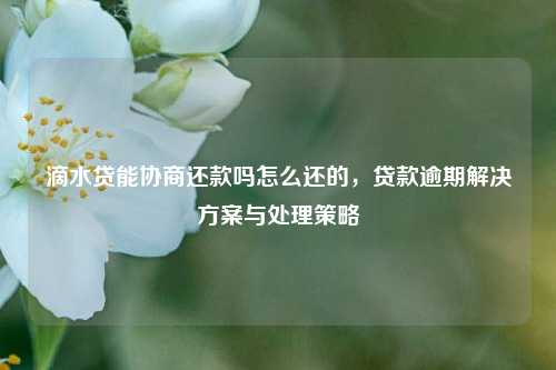 滴水贷能协商还款吗怎么还的，贷款逾期解决方案与处理策略