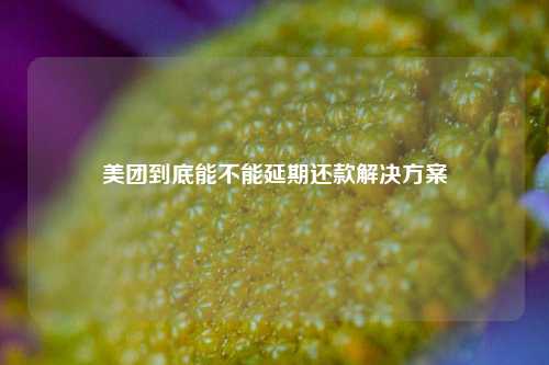 美团到底能不能延期还款解决方案