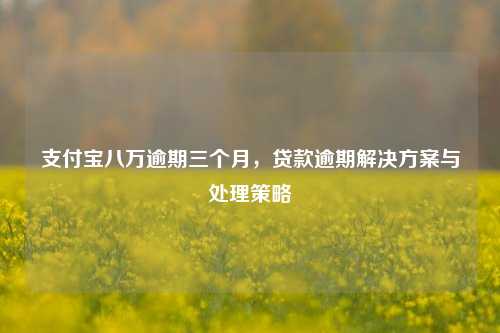 支付宝八万逾期三个月，贷款逾期解决方案与处理策略