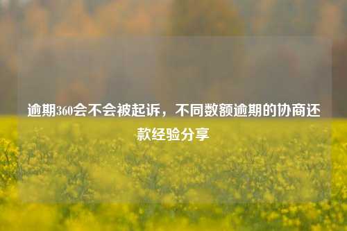 逾期360会不会被起诉，不同数额逾期的协商还款经验分享