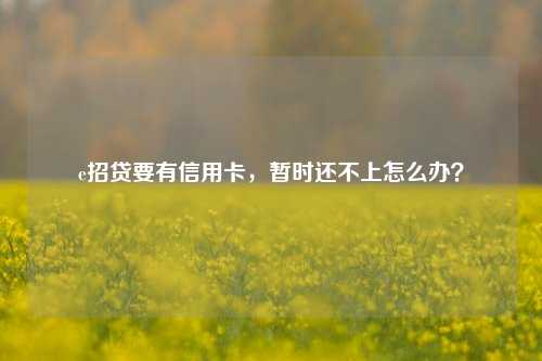 e招贷要有信用卡，暂时还不上怎么办？