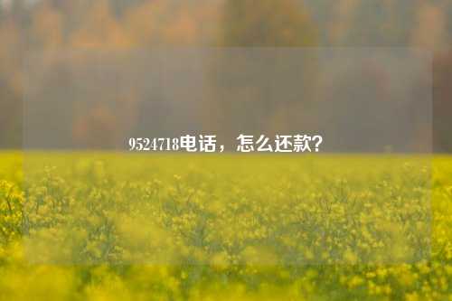 9524718电话，怎么还款？