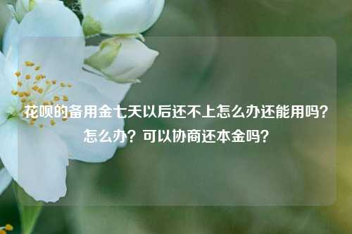 花呗的备用金七天以后还不上怎么办还能用吗？怎么办？可以协商还本金吗？