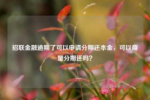 招联金融逾期了可以申请分期还本金，可以商量分期还吗？