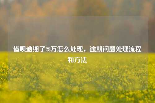 借呗逾期了28万怎么处理，逾期问题处理流程和方法