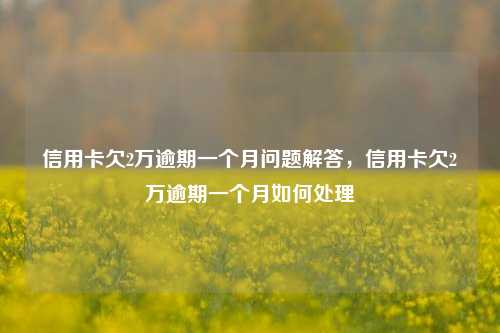 信用卡欠2万逾期一个月问题解答，信用卡欠2万逾期一个月如何处理