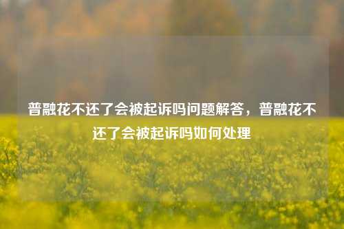 普融花不还了会被起诉吗问题解答，普融花不还了会被起诉吗如何处理