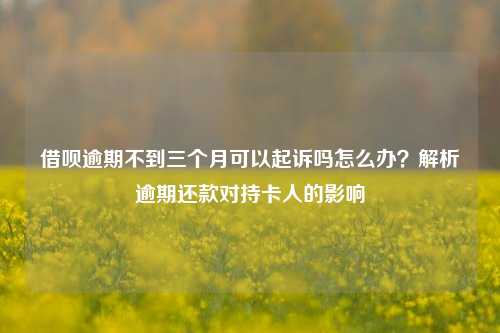 借呗逾期不到三个月可以起诉吗怎么办？解析逾期还款对持卡人的影响