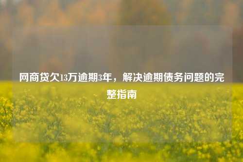 网商贷欠13万逾期3年，解决逾期债务问题的完整指南