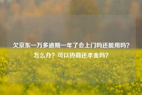 欠京东一万多逾期一年了会上门吗还能用吗？怎么办？可以协商还本金吗？