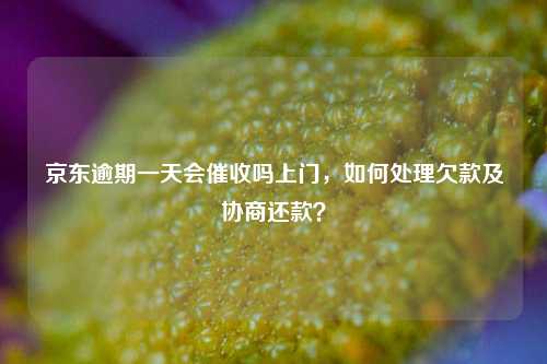 京东逾期一天会催收吗上门，如何处理欠款及协商还款？