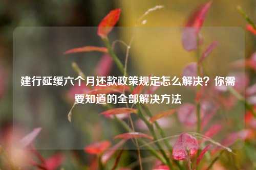 建行延缓六个月还款政策规定怎么解决？你需要知道的全部解决方法