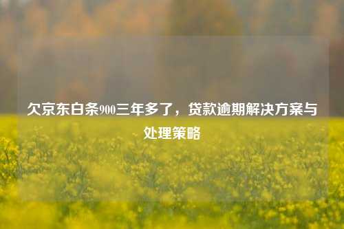 欠京东白条900三年多了，贷款逾期解决方案与处理策略