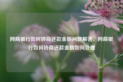 网商银行如何协商还款金额问题解答，网商银行如何协商还款金额如何处理