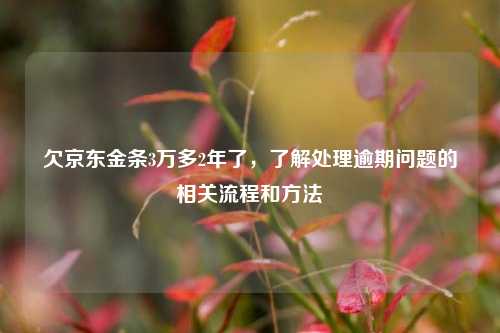 欠京东金条3万多2年了，了解处理逾期问题的相关流程和方法