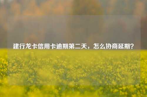 建行龙卡信用卡逾期第二天，怎么协商延期？