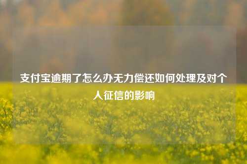 支付宝逾期了怎么办无力偿还如何处理及对个人征信的影响