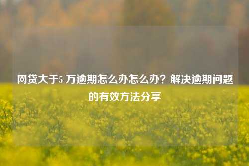 网贷大于5 万逾期怎么办怎么办？解决逾期问题的有效方法分享