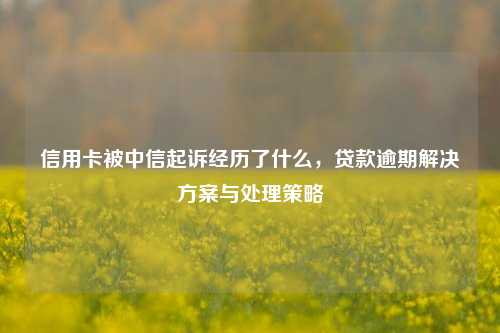 信用卡被中信起诉经历了什么，贷款逾期解决方案与处理策略