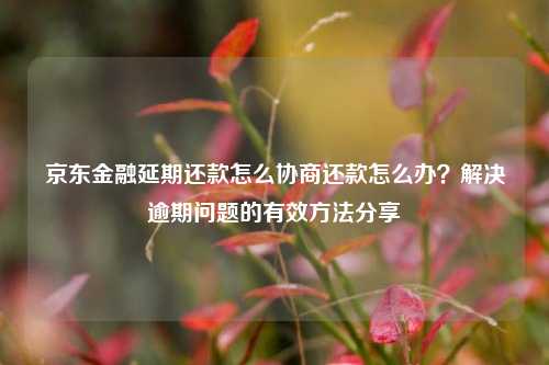 京东金融延期还款怎么协商还款怎么办？解决逾期问题的有效方法分享