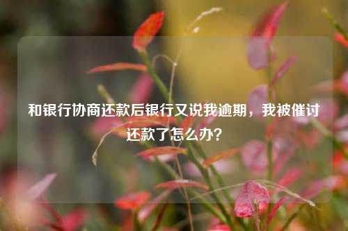 和银行协商还款后银行又说我逾期，我被催讨还款了怎么办？