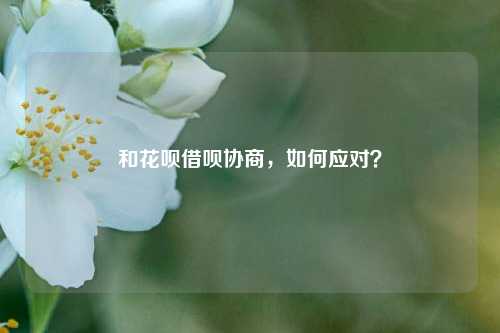 和花呗借呗协商，如何应对？