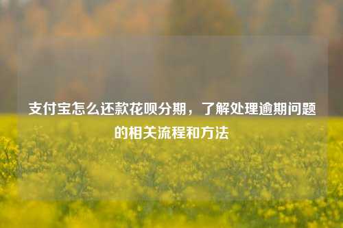 支付宝怎么还款花呗分期，了解处理逾期问题的相关流程和方法