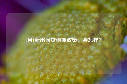 7月1新出网贷逾期政策，会怎样？