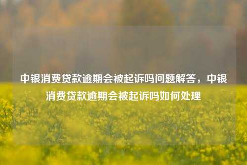 中银消费贷款逾期会被起诉吗问题解答，中银消费贷款逾期会被起诉吗如何处理