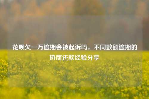 花呗欠一万逾期会被起诉吗，不同数额逾期的协商还款经验分享