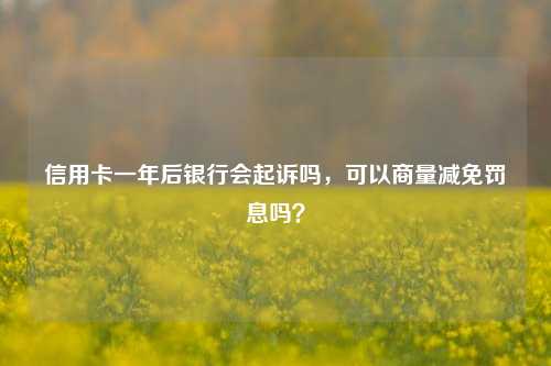 信用卡一年后银行会起诉吗，可以商量减免罚息吗？