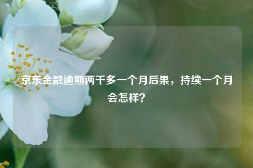 京东金融逾期两千多一个月后果，持续一个月会怎样？