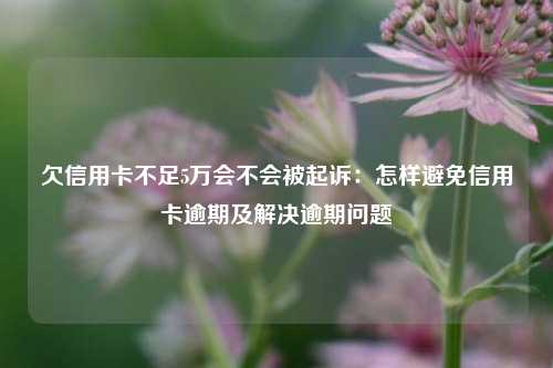 欠信用卡不足5万会不会被起诉：怎样避免信用卡逾期及解决逾期问题