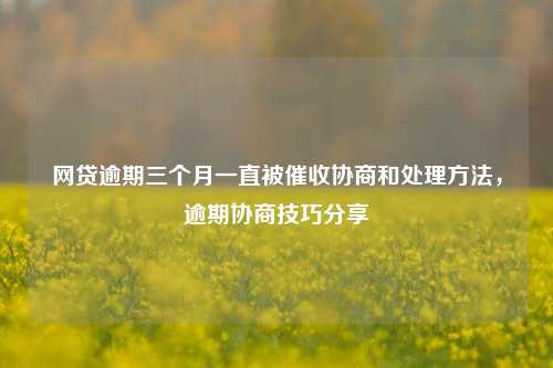 网贷逾期三个月一直被催收协商和处理方法，逾期协商技巧分享