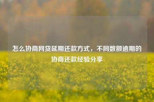 怎么协商网贷延期还款方式，不同数额逾期的协商还款经验分享